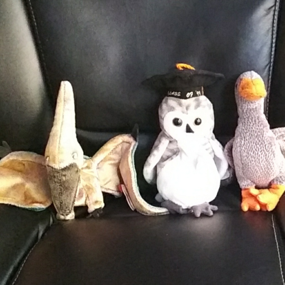 3 Clean Beanie Babies